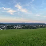 Reutergut Eibenstock